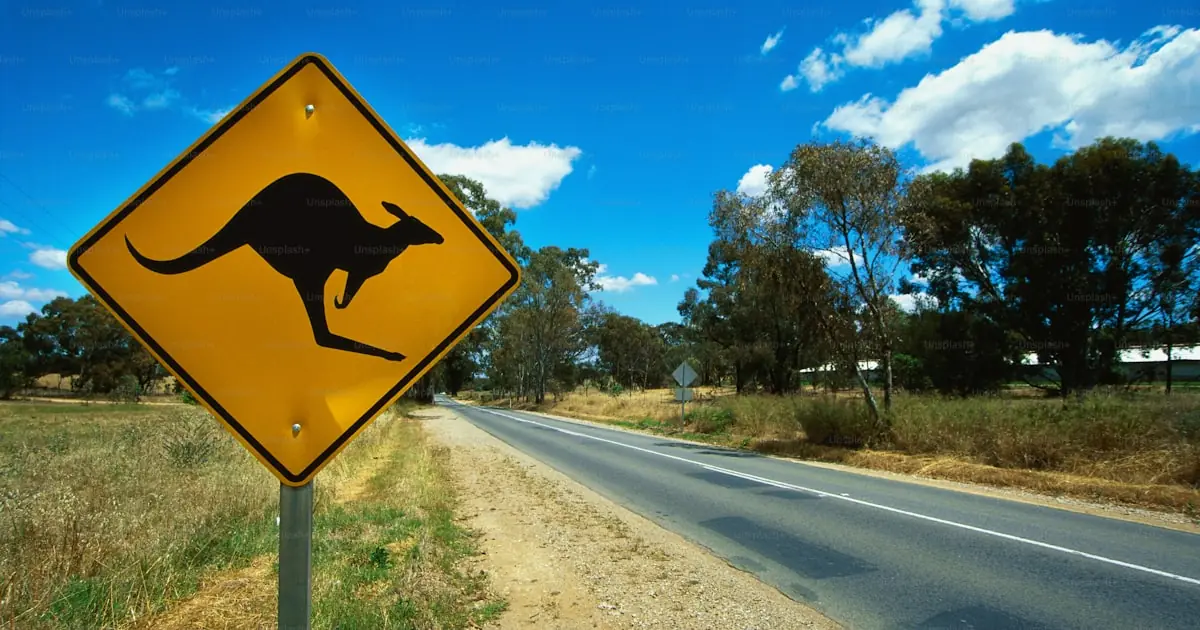 Llevar un perro a Australia