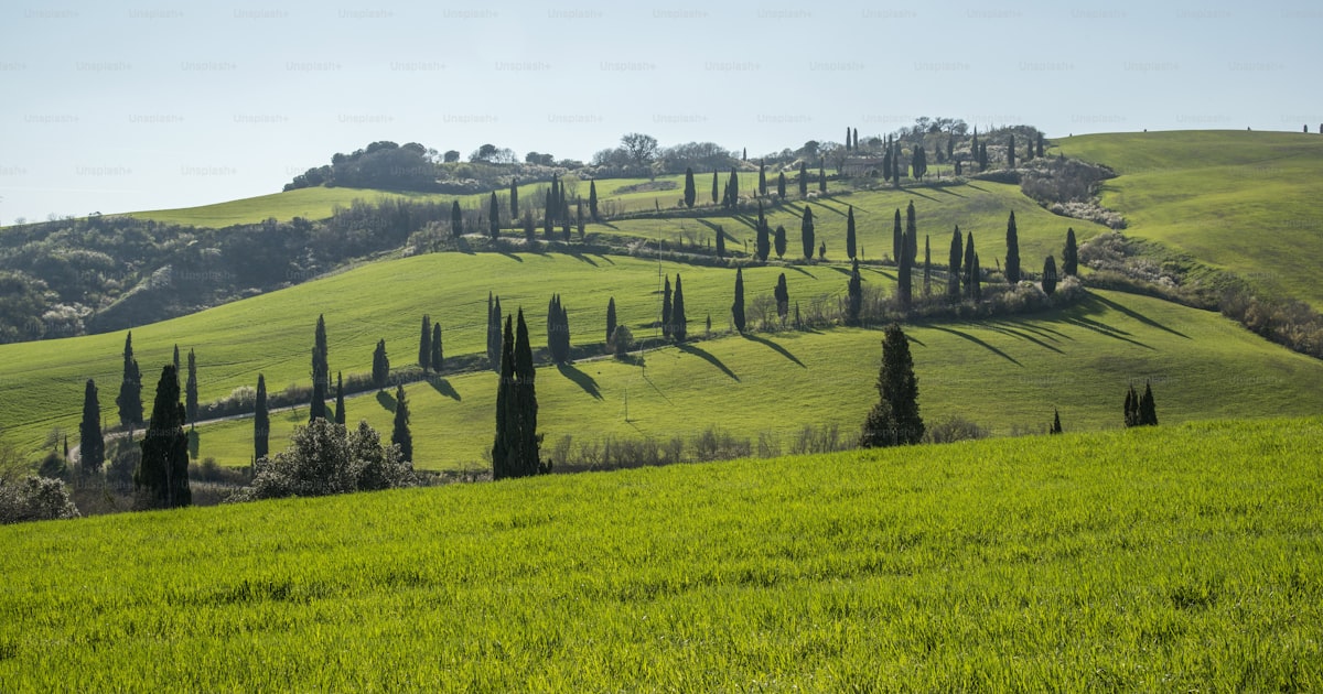 Viajar con mascota a Italia (UE): requisitos de entrada (2026)