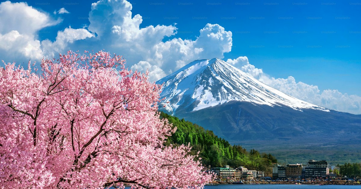 Llevar un perro a Japón