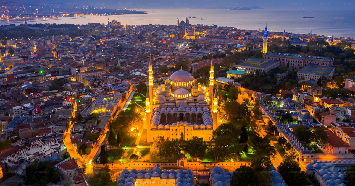 Taking a Cat to Turkey