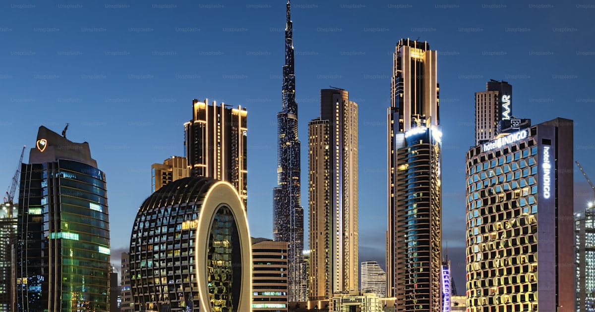 Taking a Cat to UAE